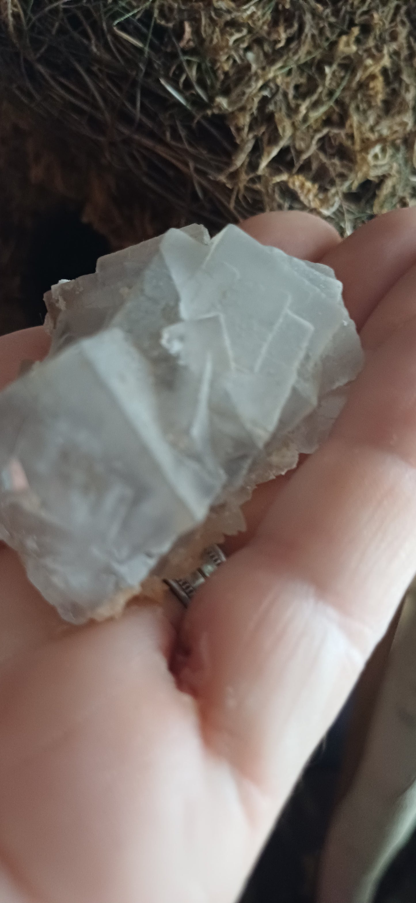 light green Fluorite