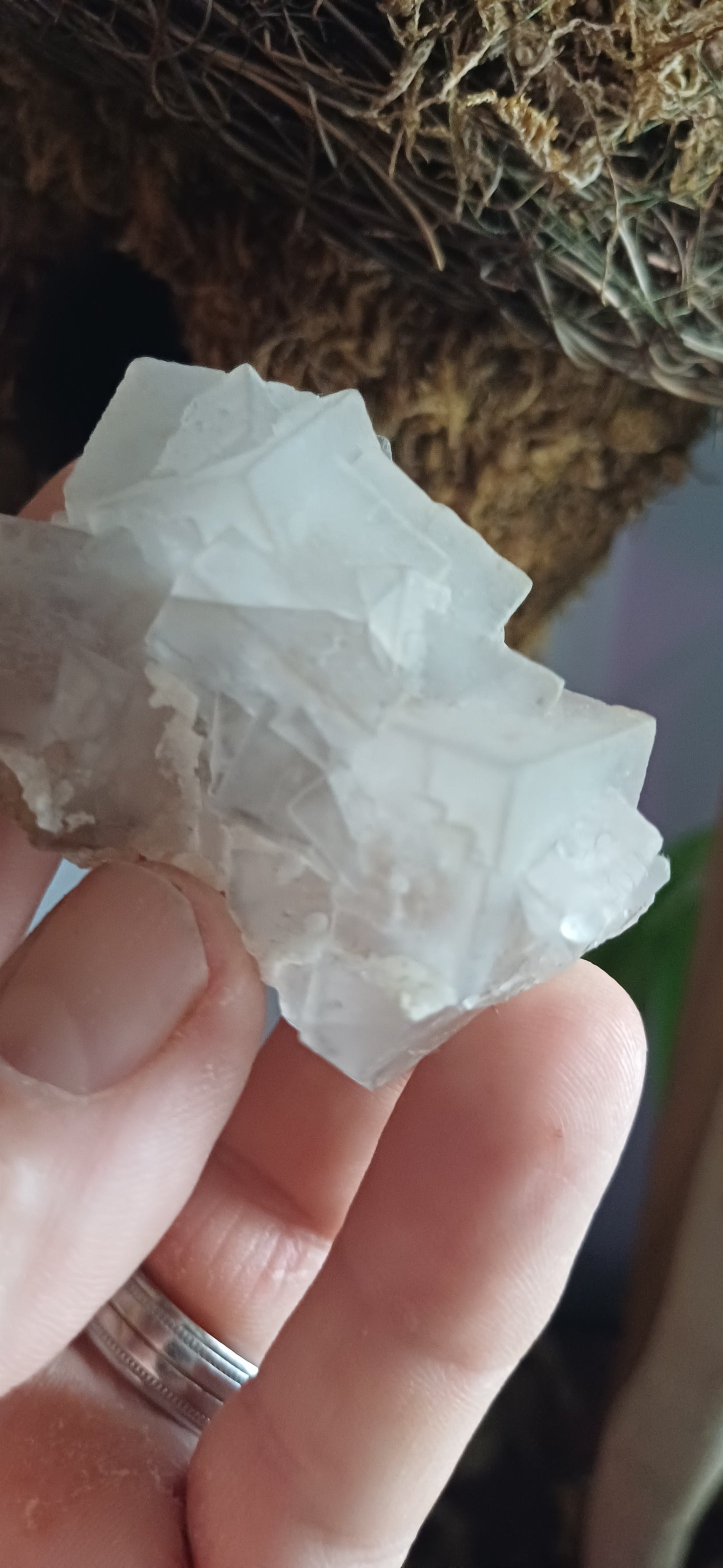 light green Fluorite